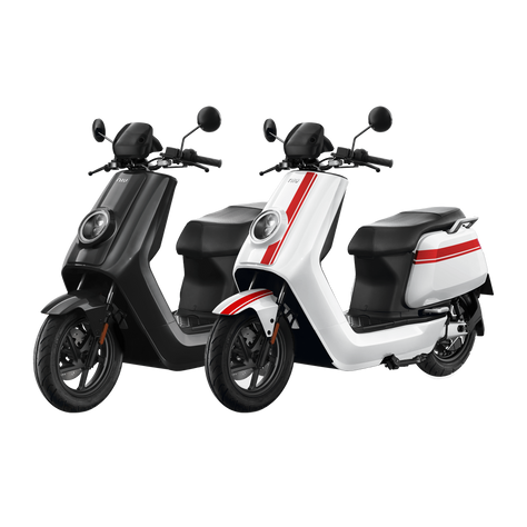 Electric mopeds