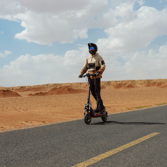 Segway-Ninebot eKickscooter ZT3 Pro