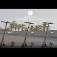 Segway-Ninebot Kickscooter D38E
