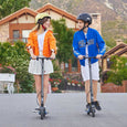 Segway-Ninebot eKickscooter Zing E10
