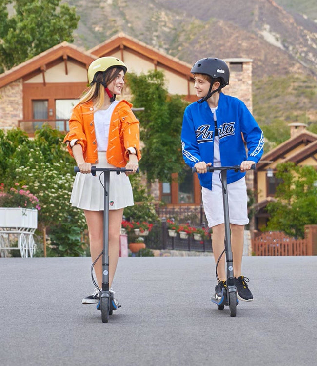 Segway-Ninebot eKickscooter Zing E10