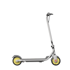 Segway-Ninebot eKickscooter Zing C8