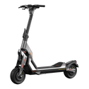 Segway-Ninebot Kickscooter GT1E