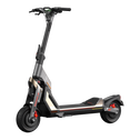 Segway-Ninebot Kickscooter GT2P