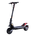 Segway-Ninebot Kickscooter P100SE