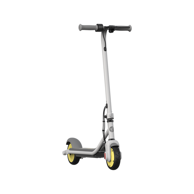 Segway-Ninebot eKickscooter Zing C8