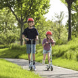 Segway-Ninebot eKickscooter Zing C8
