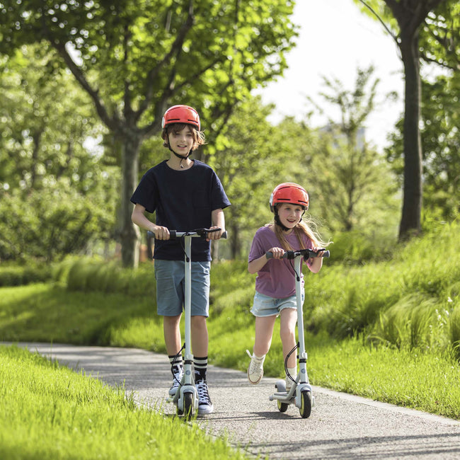 Segway-Ninebot eKickscooter Zing C8
