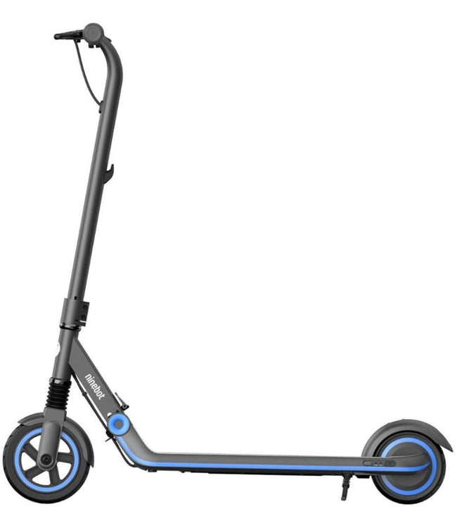 Segway-Ninebot eKickscooter Zing E10