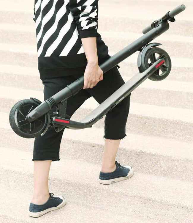 Segway-Ninebot Kickscooter ES1