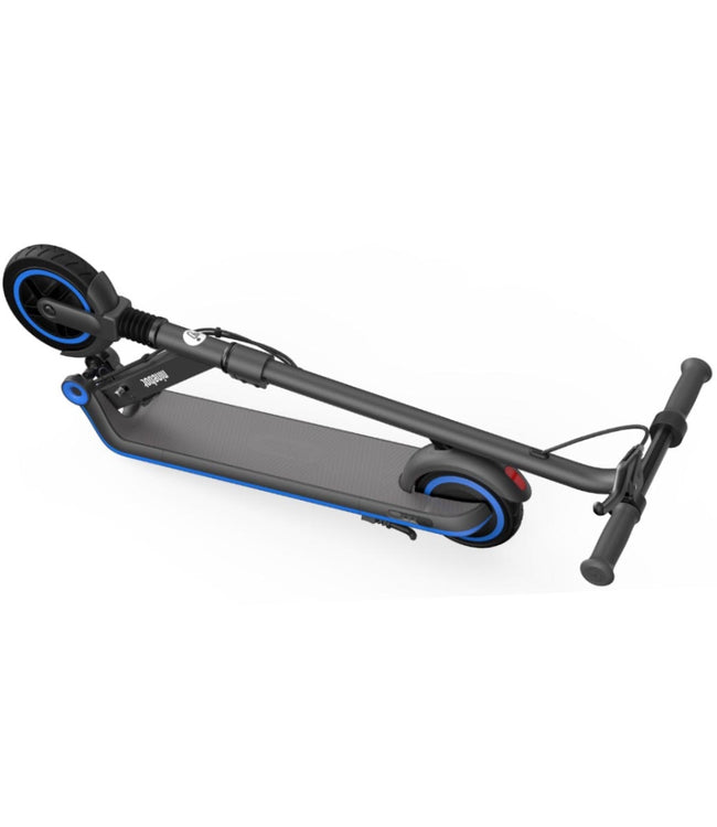 Segway-Ninebot eKickscooter Zing E10
